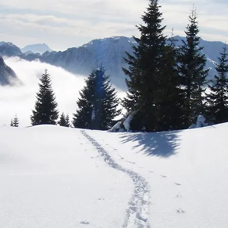 Erlenhof 호텔 Kotschach-Mauthen