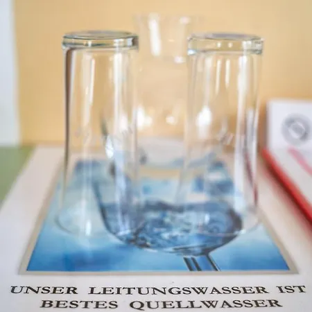 Erlenhof Otel 4*