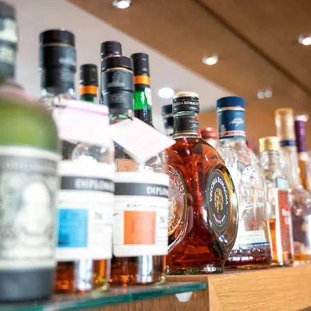 埃伦霍夫酒店 4*