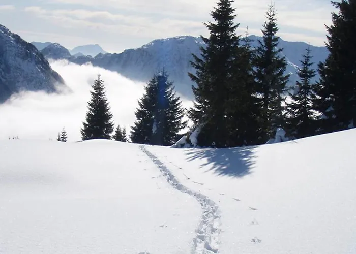Erlenhof Hotel Kotschach-Mauthen